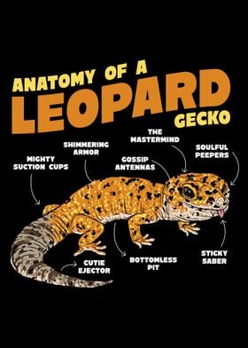 Leopard Gecko Anatomy