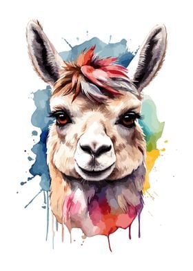 Llama Face