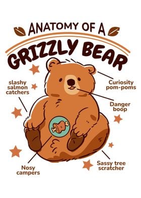 Grizzly Bear Anatomy