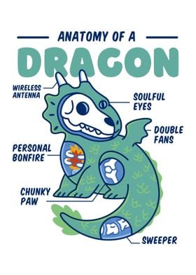 Dragon Anatomy