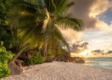 Hawaii landscape beach