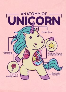Unicorn Anatomy