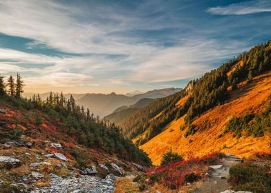 Autumn sunny mountain