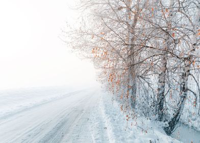 Snow covered winter road