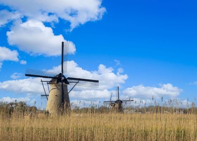 Windmills in Kinderdijk