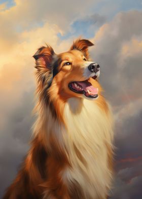  Rough Collie