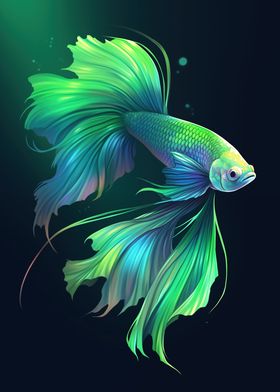 Green Betta