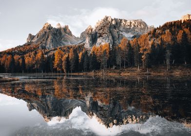 Autumn misty mountain