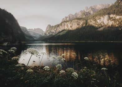 Autumn misty mountain