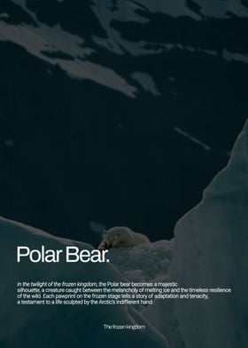 Polar Bear