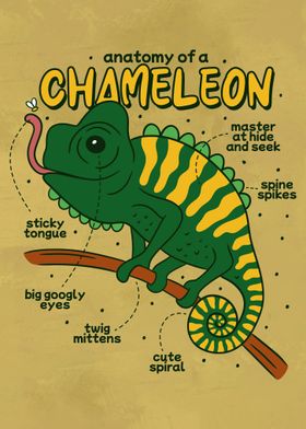 Chameleon Anatomy