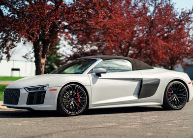 Audi R8 