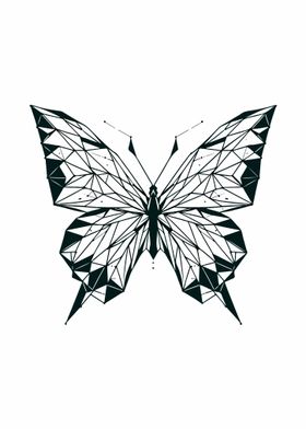 Butterfly Geometric Design