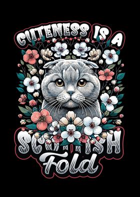 Scottish Fold Cat