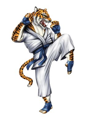 Tiger Martial Arts Fighter