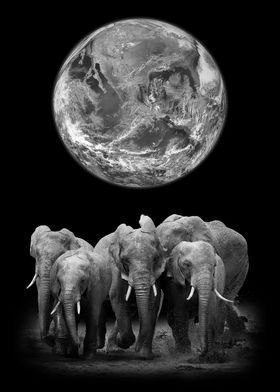 Elephants and earth