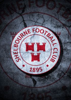 Shelbourne FC Wall art