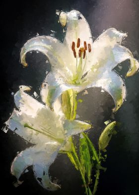 A Duet of White Lilies