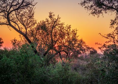 Sunset in Kruger Park