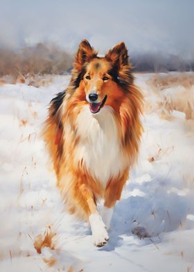 Collie winter portrait