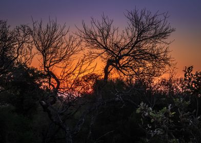 Sunset in Kruger Park