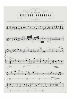 Musical Notation