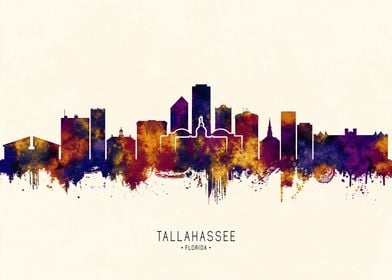 Tallahassee Skyline