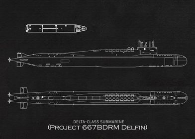 Delta class submarine Pro