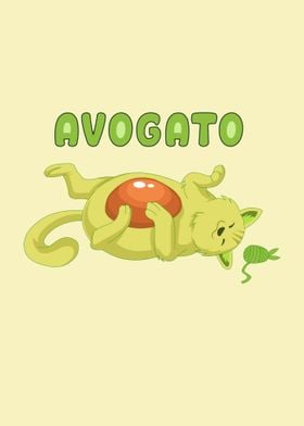 avogato avocado cat