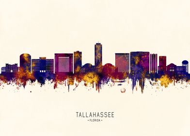 Tallahassee USA Skyline