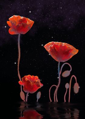 Red poppy in the water