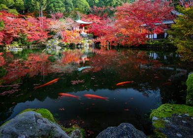 Japan temple lake autumn