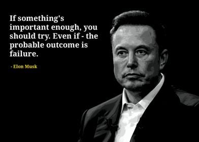 Elon Musk quotes 