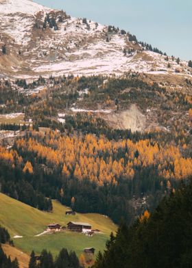 Autumn Alpine Haven