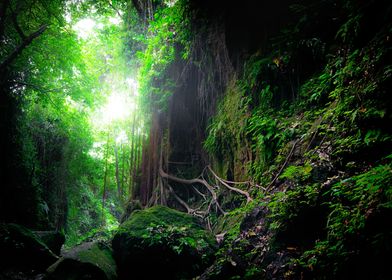 Fantasy mystical forest