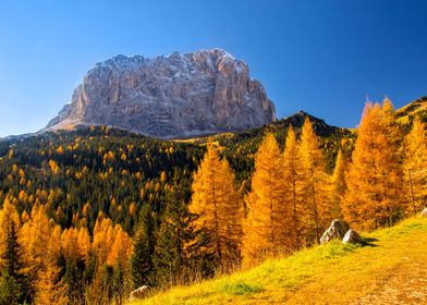 Autumn in Dolomite Alps