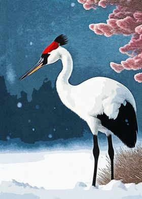 Stork Wintering
