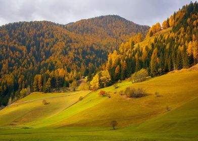 mountain valley Dolomites