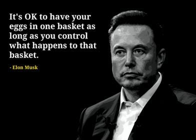 Elon Musk quotes 