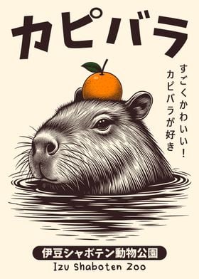 Capybara Japanese Onsen