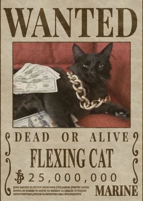 WANTED FLEXING CAT