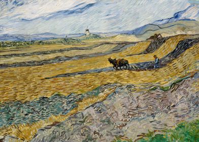 Field with Ploughman