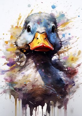 Duck Color