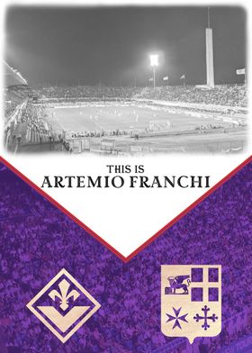 Stadio Artemio Franchi