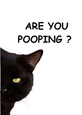 BLACK CAT ARE YOU POOPING