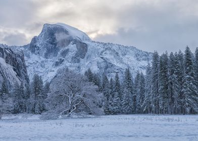 Half Dome