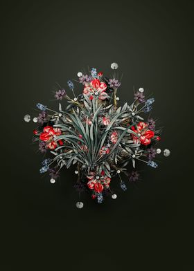 Sansevieria Carnea Wreath