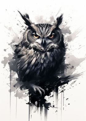 Owl Black And White