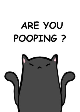 BLACK CAT ARE YOU POOPING