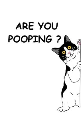 BLACK CAT ARE YOU POOPING